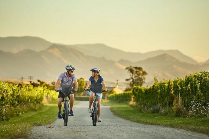 Private Biking Wine Tour (Full Day) Marlborough Region - The Lunch Break