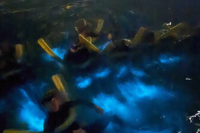 Private Bioluminescence Tour in Grand Cayman - FAQs