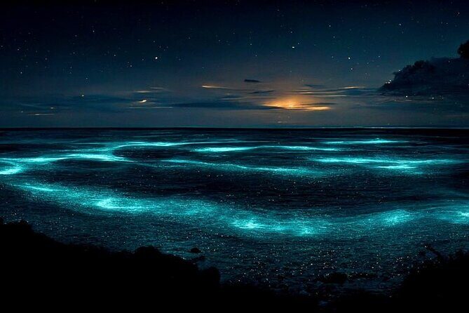 Private Bioluminescent Bay Tour - Key Points