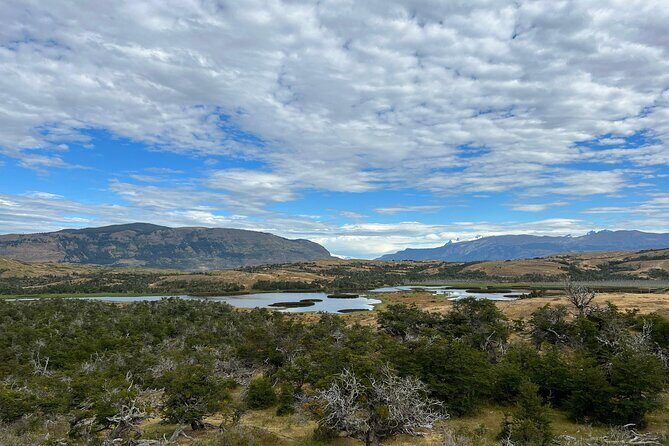 Private Bird Watching Experience in Cerro Castillo - Exploring the Patagonia Bird Watching Tour in Depth