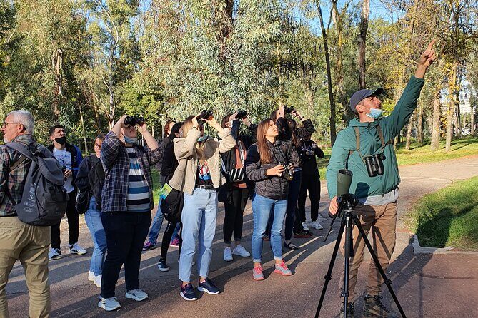 Private Birding Tour in Albania - A Comprehensive Look at the Private Birding Tour in Albania