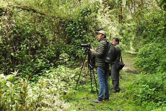 Prívate birding tour in Mindo Cloud-Forest + Mitad del mundo - Exploring the Tour Itinerary in Detail
