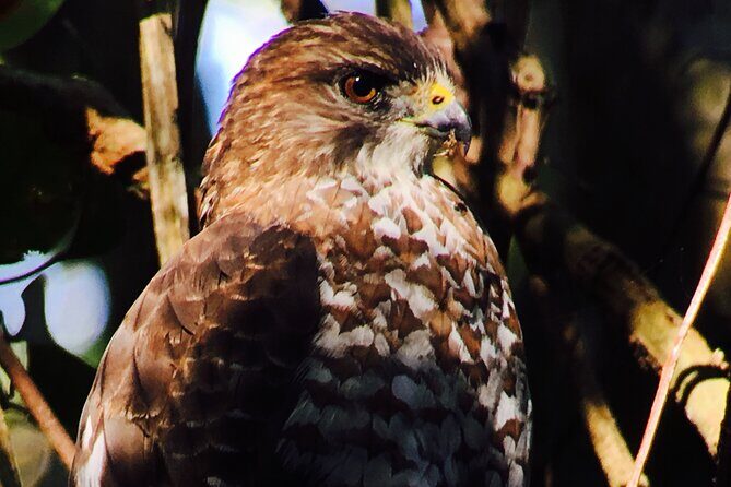 Private Birdwatching Tour and Photography - What Makes This Tour Stand Out?