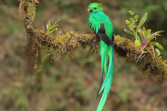 Private Birdwatching Tour and Photography - Final Words