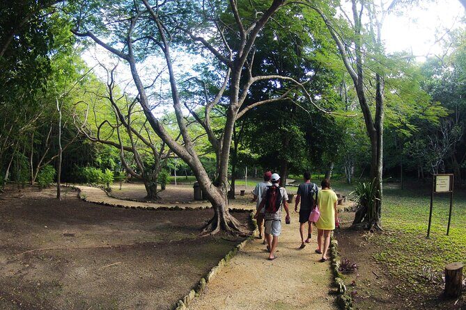 Private Birdwatching Tour in Sian Ka'an Muyil - Practical Considerations