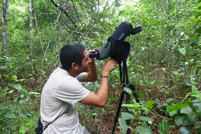 Private Birdwatching Tour in Sian Ka'an Muyil - The Sum Up