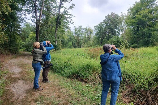 Private Birdwatching Walking Activity in Hendersonville - A Closer Look at What to Expect