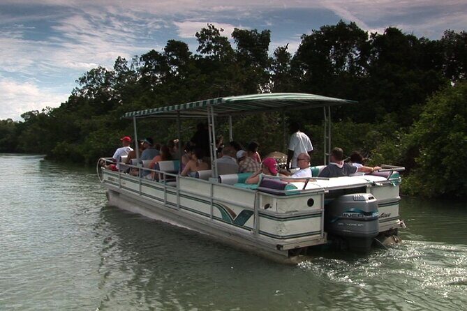 Private Black River and Appleton Rum Tour From Negril - The Sum Up: Who Should Consider This Tour?