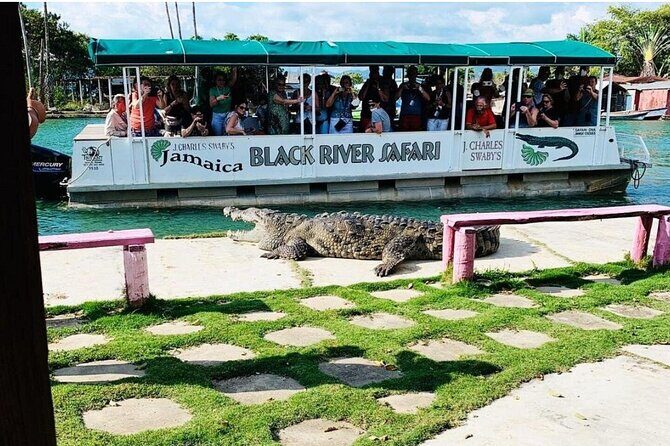 Private Black River Safari Guided Tour & YS Falls Tour - Key Points