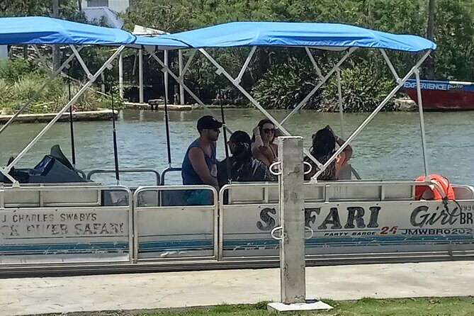 Private Black River Safari Guided Tour & YS Falls Tour - Exploring Jamaica’s South Coast: A Full Breakdown of the Tour