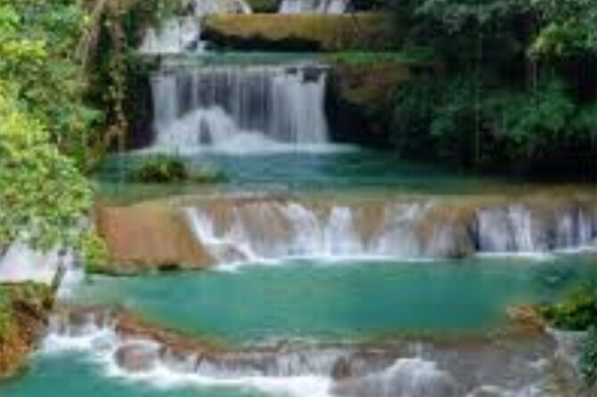 Private Black River Safari Guided Tour & YS Falls Tour - Final Thoughts