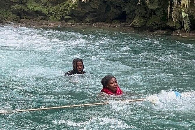 Private Blue Hole and Dunn's River Falls Tour with Transportation - Detailed Review of the Tour