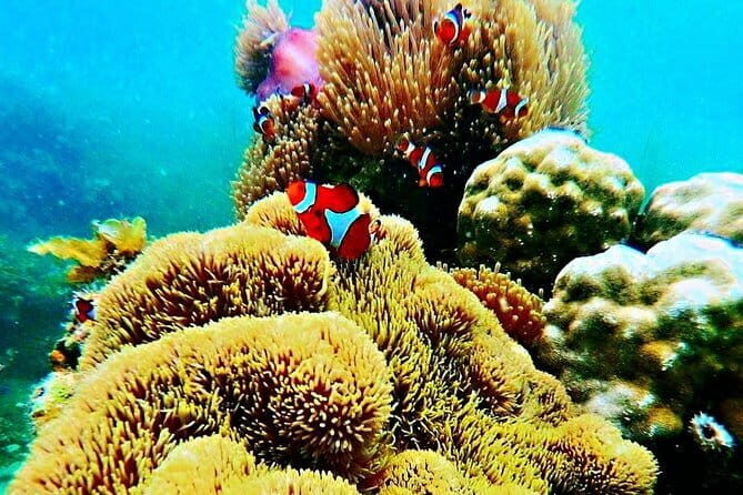 Private Blue Lake and Sand Dunes - The Sum Up