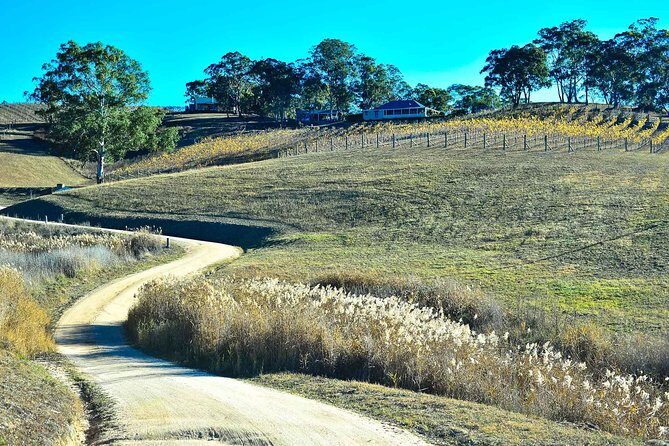 Private Blue Mountains and Winery Day-Trip from Sydney - Final Thoughts