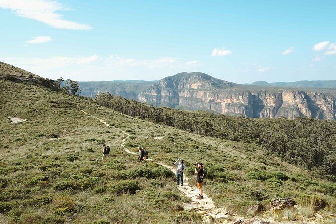 Private Blue Mountains Day Tour | Waterfalls, Koalas & Views - A Closer Look at the Itinerary