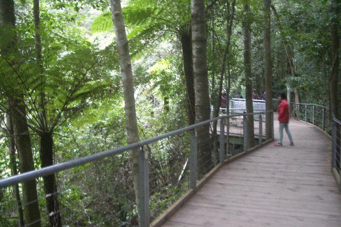 PRIVATE Blue Mountains day tour with local guide. - Practical Details and Tips
