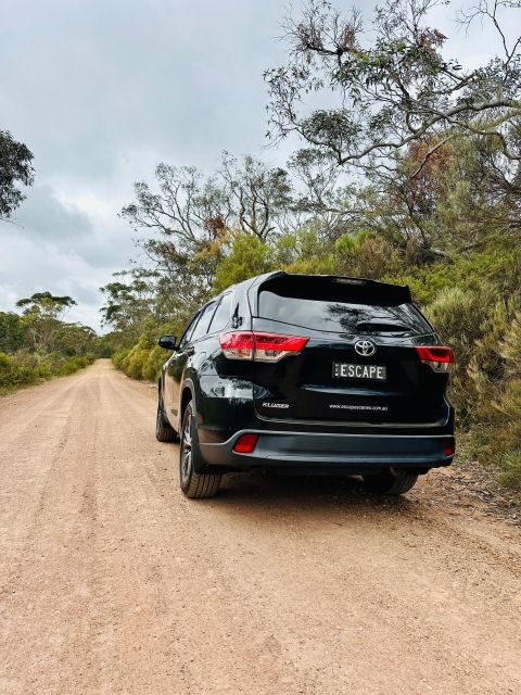 Private Blue Mountains Escape The Crowds Tour - An In-Depth Look at the Private Blue Mountains Escape