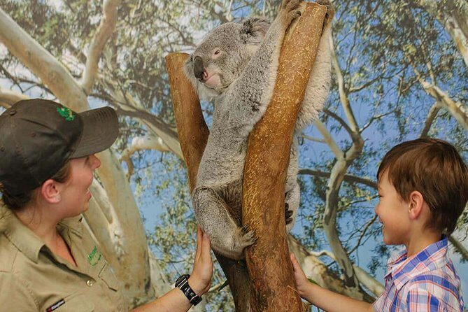 Private Blue Mountains High Country Day Trip from Sydney - Exploring the Itinerary in Detail
