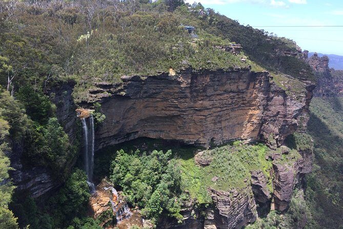 PRIVATE Blue Mountains tour & Koalas, Kangaroos, Cruise plus more - Experience the Blue Mountains: An Authentic, Full-Day Private Tour