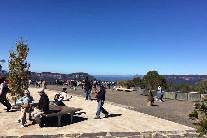 PRIVATE Blue Mountains tour & Koalas, Kangaroos, Cruise plus more - Key Points
