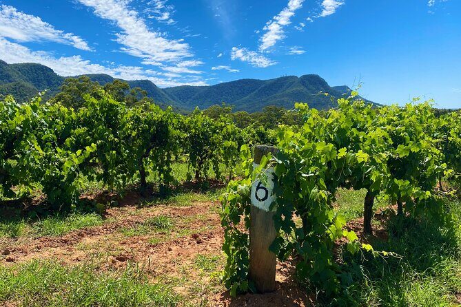 PRIVATE Blue Mountains Tour, Wildlife Park and River Cruise - FAQ