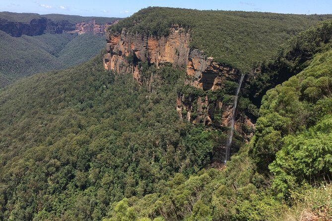 PRIVATE Blue Mountains Tour with Expert Guide - What Makes This Tour Stand Out?