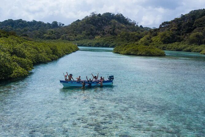 Private Blue Veins and White Beach Tour - Key Points