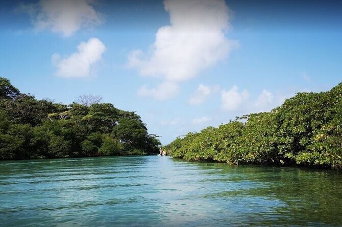 Private Blue Veins and White Beach Tour - A Deep Dive into the Tour Experience