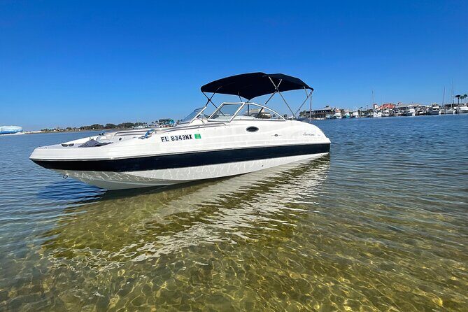 Private Boat and Dolphin Watching in Florida - Key Points