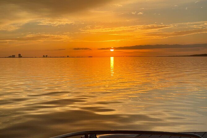 Private Boat and Dolphin Watching in Florida - Exploring Pensacola’s Waters: What You Can Expect