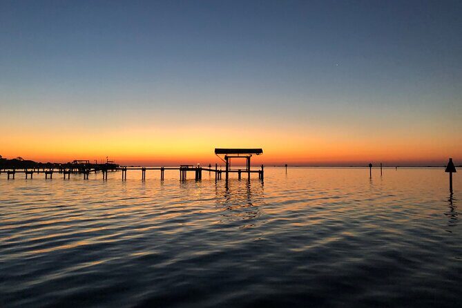 Private Boat and Dolphin Watching in Florida - Wrapping It Up: Is This the Tour for You?