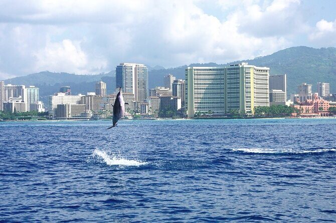 Private Boat Charter in Waikiki for Snorkeling and Events - Who Should Consider This Tour?