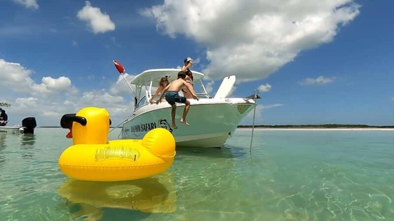 Private boat Charter Key West | Sandbar, Dolphin, Snorkeling - The Sum Up