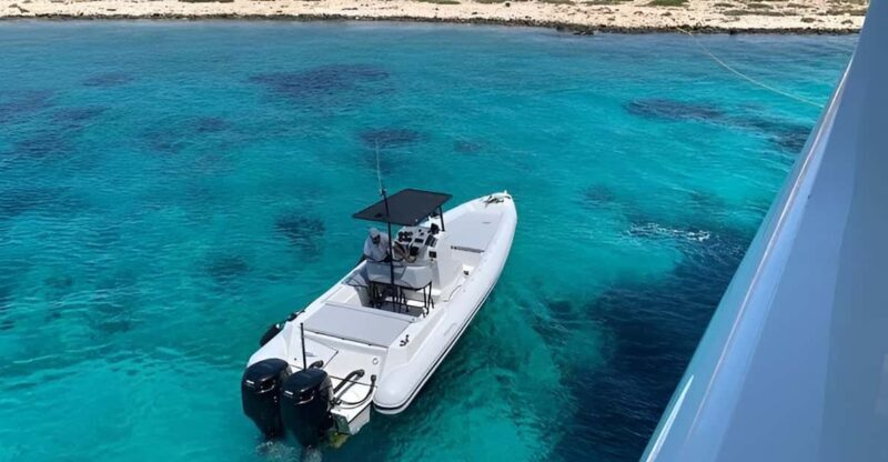 Private Boat Delos and Rineia Cruise Tour - FAQ