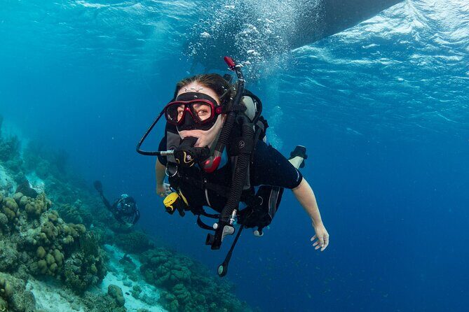 private Boat Dive charter with local guide and all Equipment - Key Points