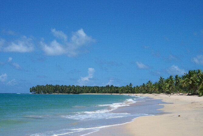 Private Boat Nature Tour of Limón Beach and Lagoon - Exploring the Experience: A Deep Dive into the Itinerary