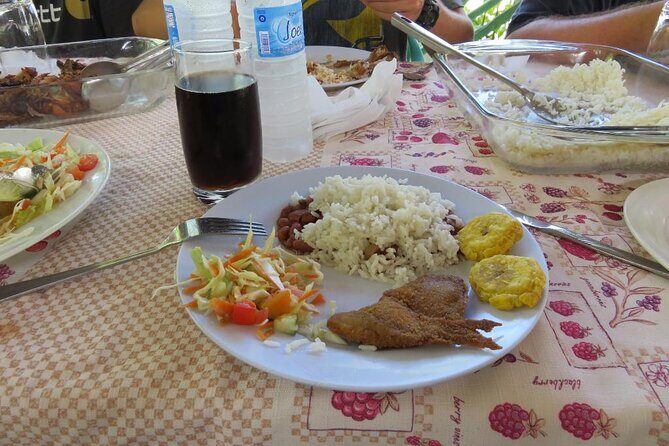 Private Boat Nature Tour of Los Haitises National Park - An In-Depth Look at the Los Haitises Private Boat Tour