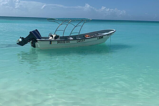 Private Boat Nature Tour of Saona Island - Private Boat Nature Tour of Saona Island: An Authentic Dominican Escape