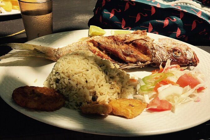 Private Boat Nature Tour of Saona Island - Key Points