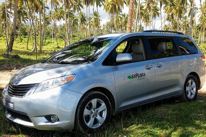 Private Boat Nature Tour of Saona Island - Authentic Encounters and Real Insights from Travelers