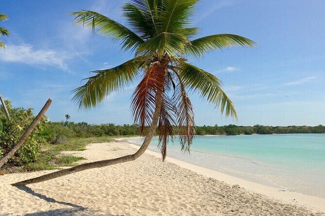 Private Boat Nature Tour of Saona Island - FAQs