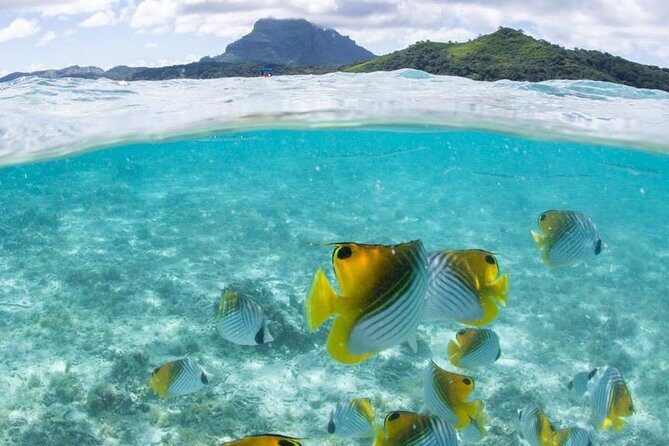 Private Boat Rental on Cap Camarat 25ft - FAQ