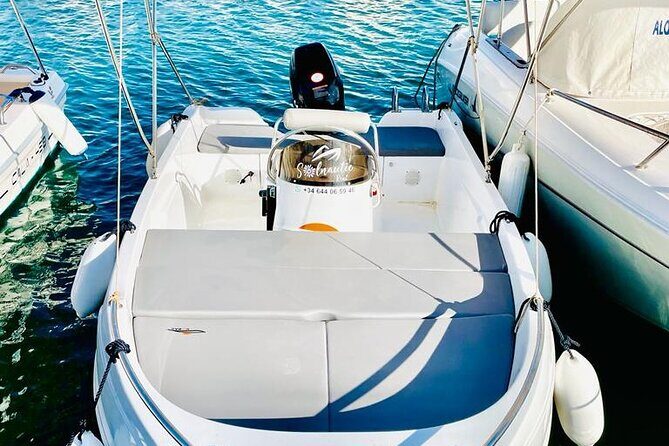 Private boat rental without title dolphin watching - The Sum Up