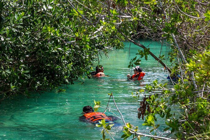 Private Boat Sian Ka'an Floating Ancient Mayan Canals and Tacos - A Closer Look at Pricing and Value