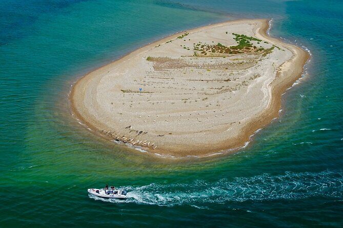 Private Boat Sightseeing Tour along The North Norfolk Coast - Key Points