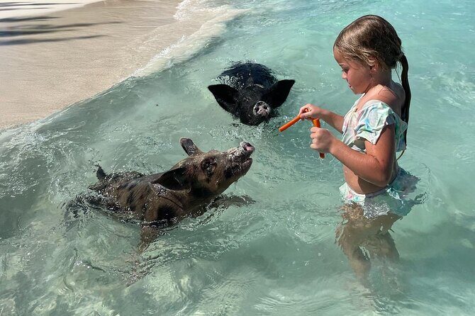 Private Boat Swim and Snorkel Adventure to Rose Island - Exploring the Experience in Detail