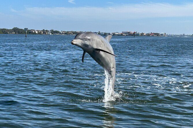 Private Boat Tour - Exploring the Anna Maria Island Private Boat Tour