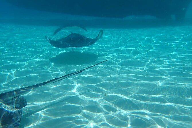 Private Boat Tour in Cayman Islands - Who Will Benefit Most?