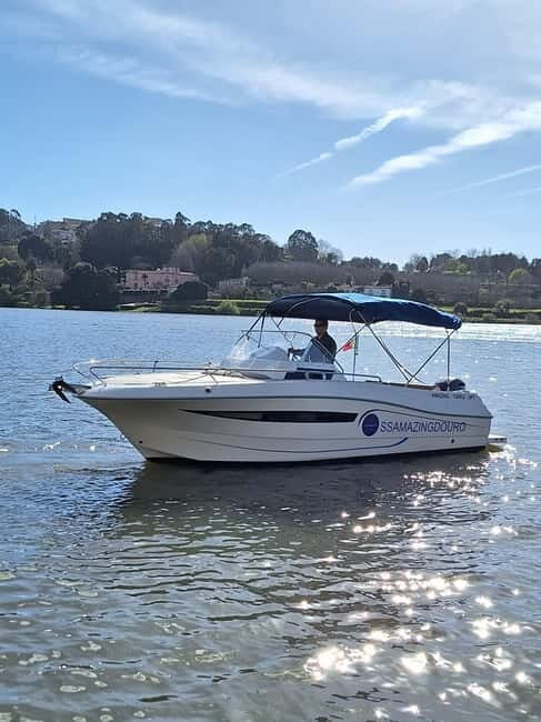 Private Boat Tour in Porto with Portuguese Tapas Option - Why Opt for a Private Boat Tour?