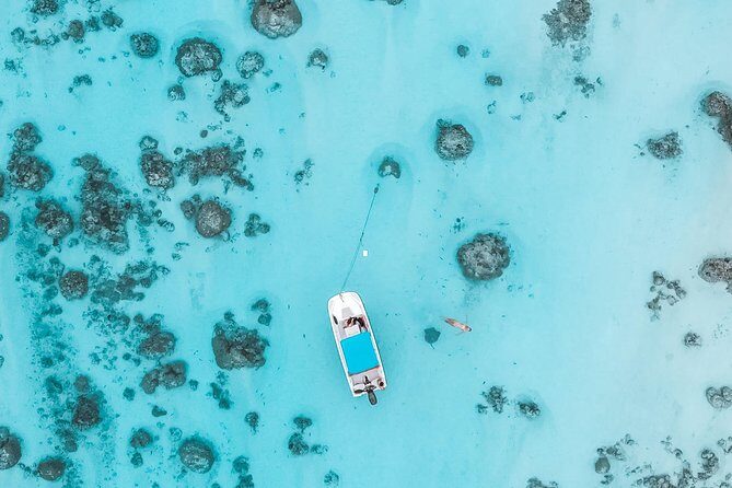 Private Boat Tour of Moorea Lagoon - FAQ